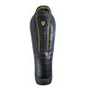BUENAS NOCHES BROTE GRIS/ABEDUL