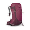ELDERBERRY PURPLE/C