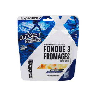FONDUE AU 3 FROMAGES