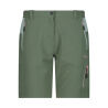 SALVIA