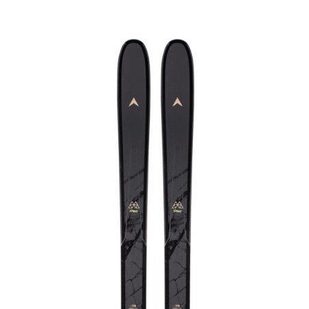 Dynastar M-PRO 99 skis
