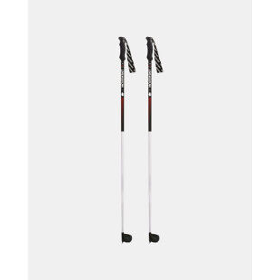 Bastones de esquí alpino RACE PRO CARBON