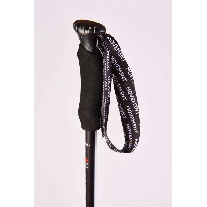 Bastones de esquí alpino RACE PRO CARBON