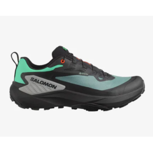 Chaussures Salomon GENESIS GTX