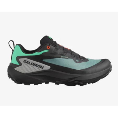 Salomon GENESIS GTX Schuhe