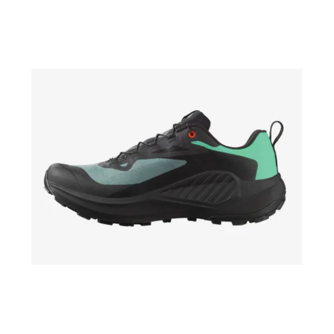 Salomon GENESIS GTX shoes