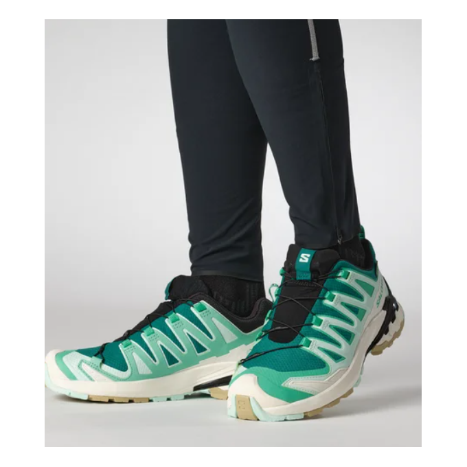 XA PRO 3D V9 GTX hiking boots