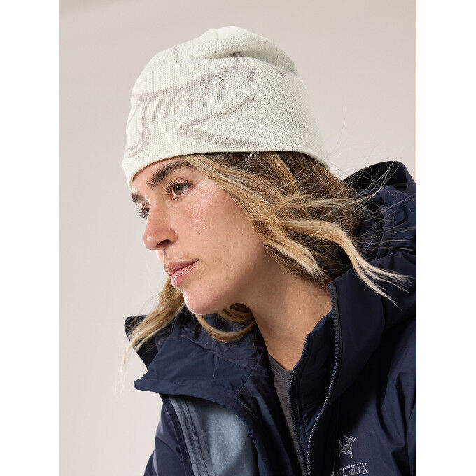 帽子 ARC'TERYX BIRD HEAD TOQUE Bird Head Arc'teryx ski hat: warmth and comfort