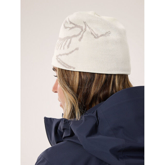 Bird Head Arc teryx ski hat warmth and comfort