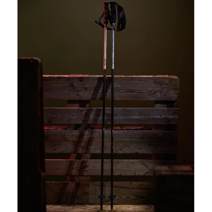 Bâtons de Ski Van Deer RACE CARBON - performance et précision ultimes