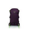 ELDEBERRY PURPLE