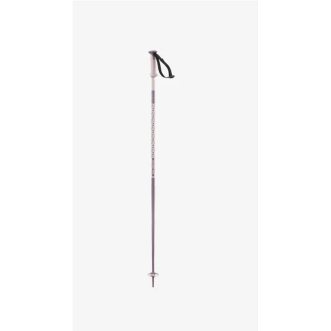 Salomon POLAR alpine ski poles Salomon POLAR alpine ski poles
