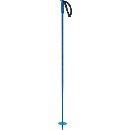 baton de ski homme salomon Btons trail Poles S Lab Ultra Carbon Btons De Ski Homme Polar