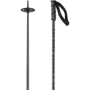 Bâtons de ski Salomon HACKER Grey