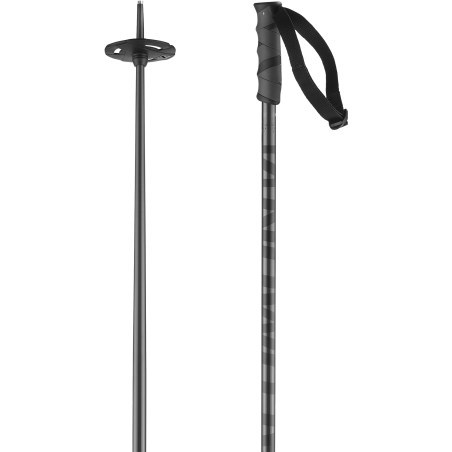 Skistöcke Salomon HACKER Grey