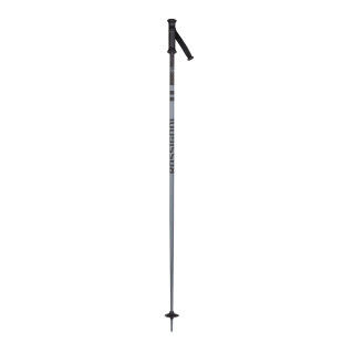 STOVE POLE Grey ski poles