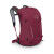 Osprey HIKELITE 26 backpack