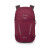 Osprey HIKELITE 26 backpack