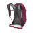 Osprey HIKELITE 26 backpack
