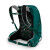 Osprey TEMPEST 9 Jasper Green backpack