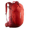 RED DAHLIA/HIGH RISK RED