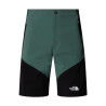 DUCK GREEN/TNF BLACK