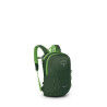 GREEN CANOPY/LIMELI