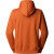 Sweat The North Face Outdoor Graphic Hoodie Iron Bronze – Confort & Style