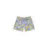 MYOSOTIS PRINT