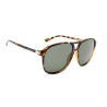 BROWN TORT