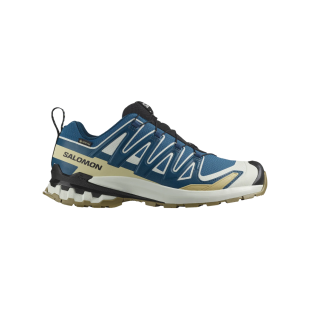 Chaussures de trail Salomon XA PRO 3D V9 GTX