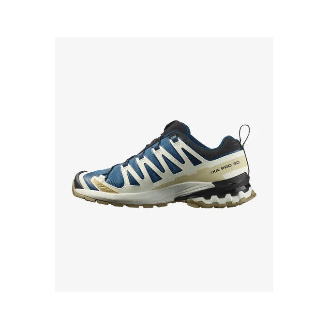 Scarpe da trail Salomon XA PRO 3D V9 GTX