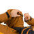 KARPOS Midi Shell Men's Waterproof Jacket – 100% recycled