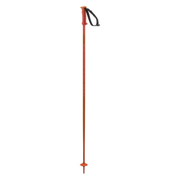 Bastoncini Salomon Polar | Leggeri, resistenti ed eleganti