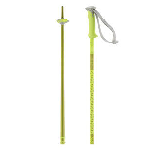 Salomon Polar poles – Lightweight, sturdy, and stylish for alpine skiing