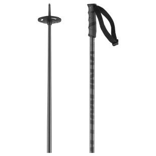 Bâtons de ski Salomon Hacker – Légers et robustes pour le freeride