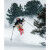 Van Deer FREERIDE 98 Ski Pack + Bindings – High-end Freeride