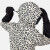 Rossignol ROCHRUN ALLOVER Print Damen-Skijacke