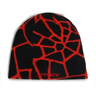 Spyder Web reversible men's beanie: eco-friendly style and comfort