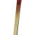 Rossignol XP 105 POSITRACK Skier
