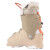 Rossignol: botas de esquí para mujer ALLTRACK 80 W
