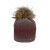 Berretto unisex Point Neige Cosmos: eleganza e calore scintillante