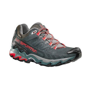 Ultra Raptor II Leather GTX Women's: performance and comfort for hiking