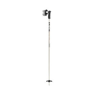 Leki Detect S ski pole: safety and performance off-piste
