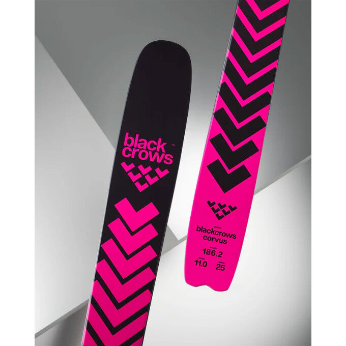 blackcrows curvus スキー板 Corvus – blackcrows