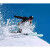 Pack Skis + Fix Black Crows CAPTIS BIRDIE Femme