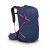 Osprey Sportlite™ 25: minimalist, technical backpack for hikers