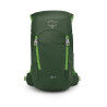 GREEN CANOPY/LIMELI
