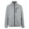 Silver Grey