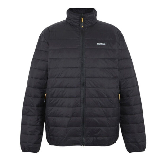 Veste 3 en 1 Homme REGATTA Wentwood